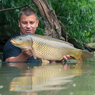 SBS Baits Gallery